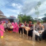 Kapolres Pesawaran Serahkan Langsung Bantuan Pada Korban Banjir di Desa Sindang Garut