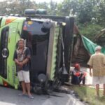 Diduga Kelebihan Muatan, Truk Bermuatan 21 Ton Pakan Ikan Terguling di Jalinbar Pringsewu