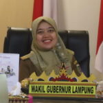 Wagub Chusnunia Hadiri Webinar Pencegahan dan Penindakan TPPO