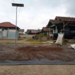 Gagal Panen, Petani Kopi di Lampung Barat Berharap Perhatian Pemerintah