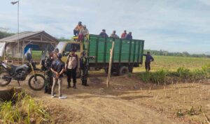 7 Warga Anak Tuha Lampung Tengah Dipulangkan Usai Diperiksa Pasca Aksi Penolakan Pengelolaan Lahan PT BSA