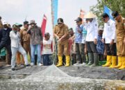 Panen Udang di Tulang Bawang, Gubernur Arinal Dorong Pertambakan di Lampung Bangkit dan Berjaya Kembali