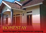 Kembangkan Pariwisata, Desa Harapan Jaya Lampung Punya 20 Unit ‘Homestay’