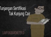 Tunjangan Sertifikasi Tak Kunjung Cair, Guru SMA/SMK di Lampung Minta Gubernur Turun Tangan