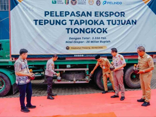 Ribuan Ton Tapioka Lampung Diekspor ke Tiongkok