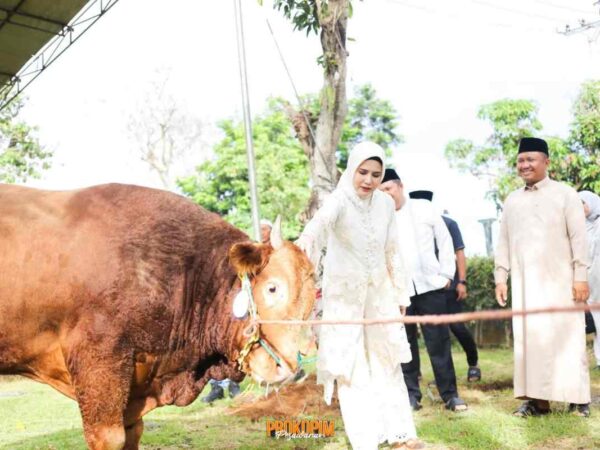 Idul Adha 2026, Bupati Pesawaran Serukan Semangat Pengorbanan dan Kepedulian Sosial