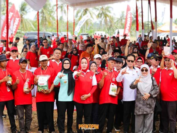 Pesawaran Tuan Rumah Panen Raya Jagung
