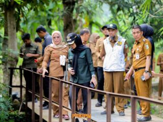 Bupati Nanda Tinjau Sejumlah Infrastruktur di Kecamatan Punduh Pedada dan Marga Punduh