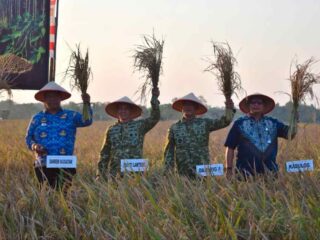 Danrem 043 Gatam Hadiri Panen Raya Nasional Bersama Presiden