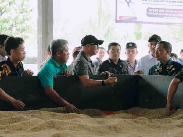 Kunjungi Pringsewu, Gubernur Pastikan 'Bed Dryer' untuk Tingkatkan Nilai Jual Hasil Pertanian
