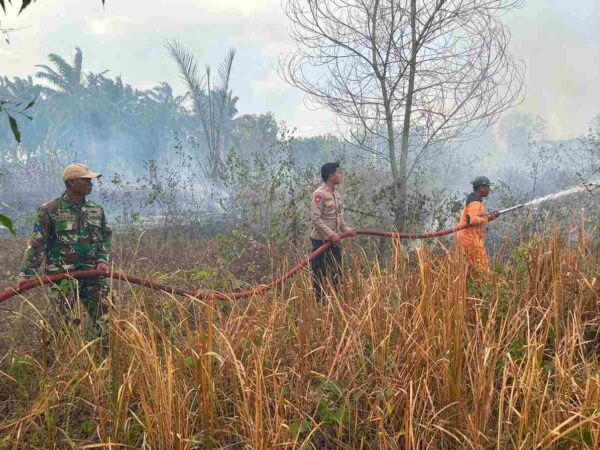 Polsek Lambu Kibang dan Tim Gabungan Padamkan Karhutla di Pinggir Jalan Tol Tiyuh Agung Jaya