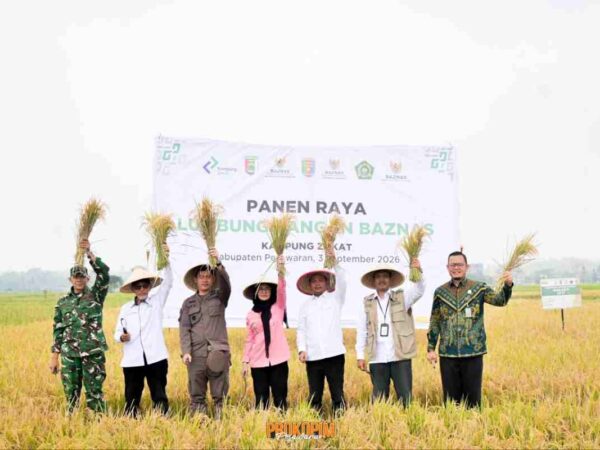 Panen Raya, Program Lumbung Pangan Baznas Pesawaran Dorong Kemandirian Petani