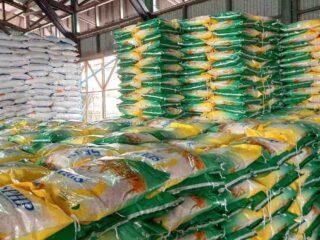 Stok Beras Bulog 4,8 Juta Ton, Cukup Hingga Akhir Tahun