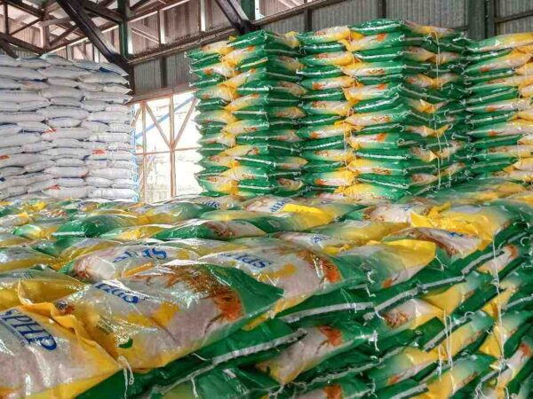 Stok Beras Bulog 4,8 Juta Ton, Cukup Hingga Akhir Tahun