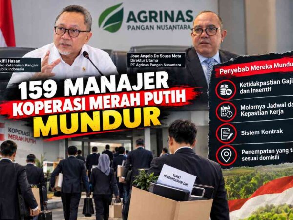Ratusan Manajer Koperasi Desa Merah Putih Mundur