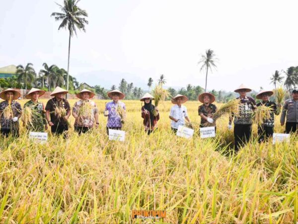 Nanda Indira: Pendampingan Petani Penting Untuk Tingkatkan Produktivitas Hasil Panen